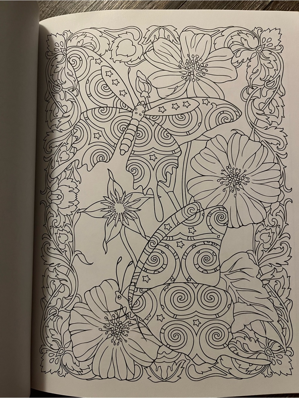 Incredible Insect Designs Coloring Book - Purple & Multicolor - Picture 4 of 10